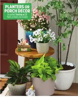 Dollar General PLANTERS OR PORCH DECOR offer