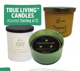 Dollar General TRUE LIVING CANDLES offer