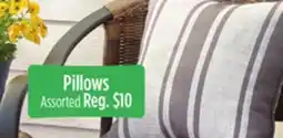 Dollar General Pillows offer