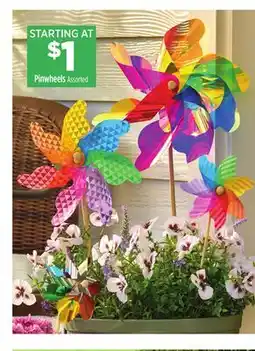 Dollar General Pinwheels offer