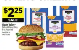 Dollar General Clover Valley Natural Cheese Slices offer