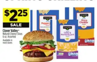 Dollar General Clover Valley Natural Cheese Slices offer