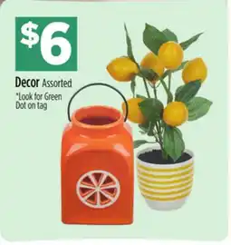 Dollar General Decor Assorted offer