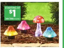 Dollar General Solar Stakes offer