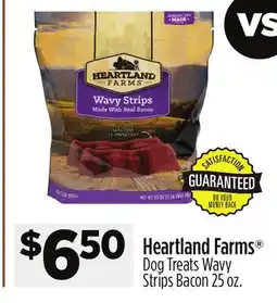 Dollar General Heartland Farms Dog Treats Wavy Strips Bacon offer
