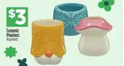Dollar General Ceramic Planters offer