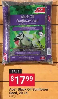 Ace Hardware Ace Black Oil Sunflower Seed 20 Lb offer