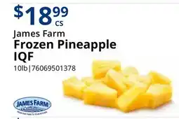 Restaurant Depot James Farm Frozen Pineapple IQF offer