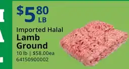 Restaurant Depot Imported Halal Lamb Ground offer