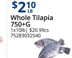 Restaurant Depot Whole Tilapia offer