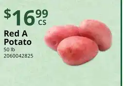 Restaurant Depot Red A Potato offer