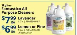Restaurant Depot Skyline Fantastico All Purpose Cleaners offer