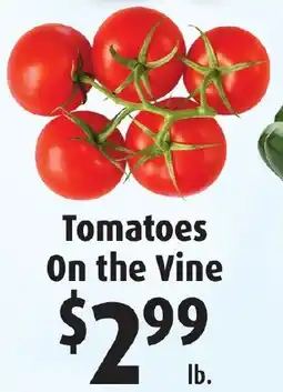Gristedes Tomatoes On the Vine offer