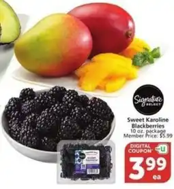 Albertsons Sweet Karoline Blackberries offer