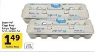 Lucerne Cage Free Large Eggs
