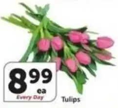 Albertsons Tulips offer