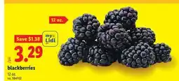 Lidl blackberries offer