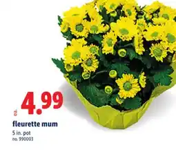 Lidl fleurette mum offer