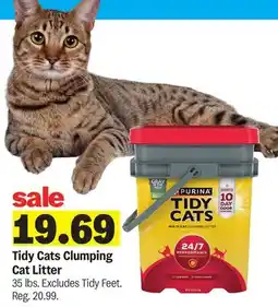 Meijer Tidy Cats Clumping Cat Litter offer