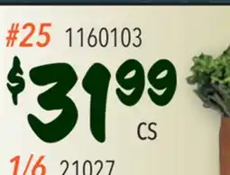 Restaurant Depot 25 offer