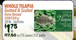Restaurant Depot WHOLE TILAPIA Gutted & Scaled offer