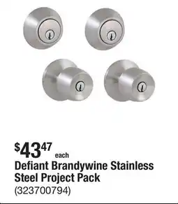 The Home Depot Defiant Brandywine Stainless Steel Project Pack offer
