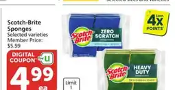 Pavilions Scotch-Brite Sponges offer