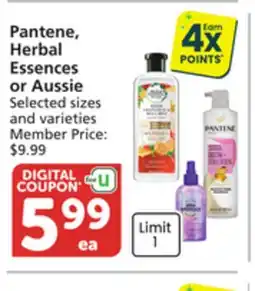 Pavilions Pantene, Herbal Essences or Aussie offer