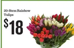 Mariano's 20-Stem Rainbow Tulips offer