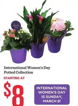 Mariano's International Women's Day Potted Collection offer