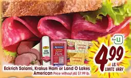 Jewel-Osco Eckrich Salami, Krakus Ham O Lakes American offer
