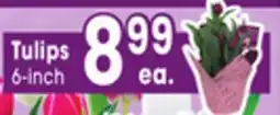 Jewel-Osco Tulips offer