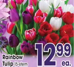 Jewel-Osco Rainbow Tulip offer