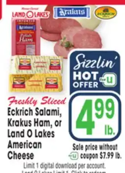 Jewel-Osco Eckrich Salami, Krakus Ham, or Land O Lakes American Cheese offer
