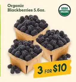Sprouts Farmers Market Organic Blackberries offer