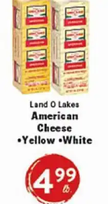 Rio Valley Market Land O Lakes American Cheese •Yellow •White offer