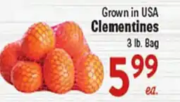 Rio Valley Market Clementines offer