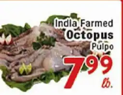 Rio Valley Market India Farm Octopus offer