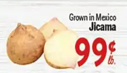Rio Valley Market Jicama offer