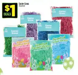 Dollar General Easter Grass Assorted offer