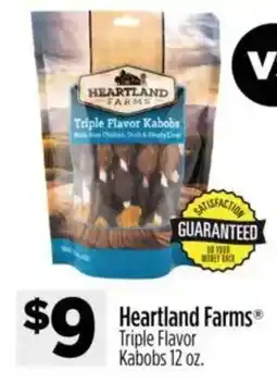 Dollar General Heartland Farms triple flavor kabobs offer