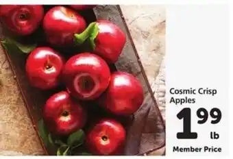 Cosmic Crisp Apples