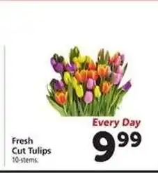 Safeway Fresh Cut Tulips offer
