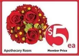 Safeway Apothecary Roses offer