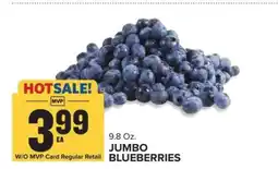 Food Lion Jumbo Blueberries offer