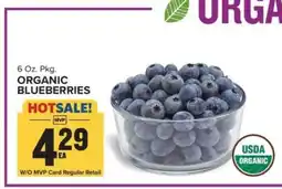 Food Lion Organic Blueberries offer