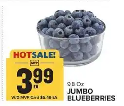 Food Lion Jumbo Blueberries offer