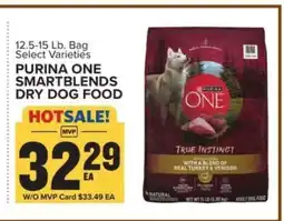 Food Lion Purina One Smartblends Dry Dog Food offer