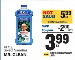 Food Lion Mr. Clean offer