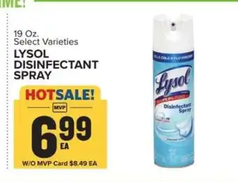 Food Lion Lysol Disinfectant Spray offer